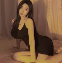 基础方案专区
